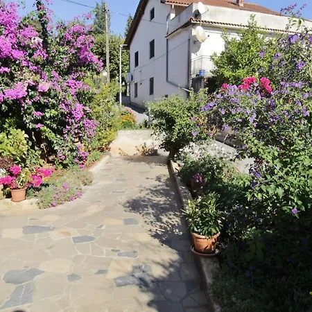 Maison d'hôtes Marija 4*